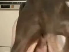 Anal sex lust twink receives bare during web camera show and welcomes anal with a dog in this vid